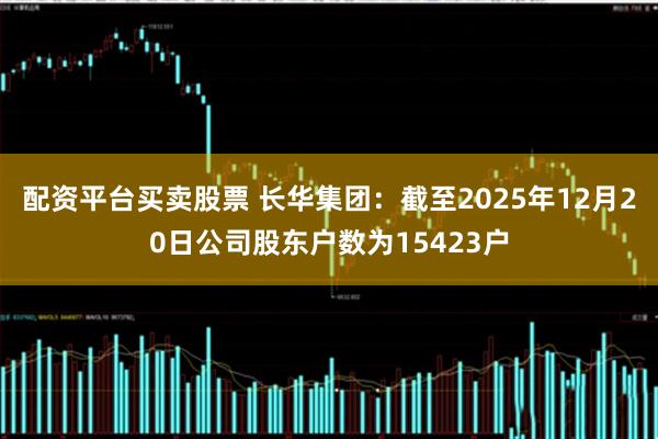 配资平台买卖股票 长华集团：截至2025年12月20日公司股东户数为15423户
